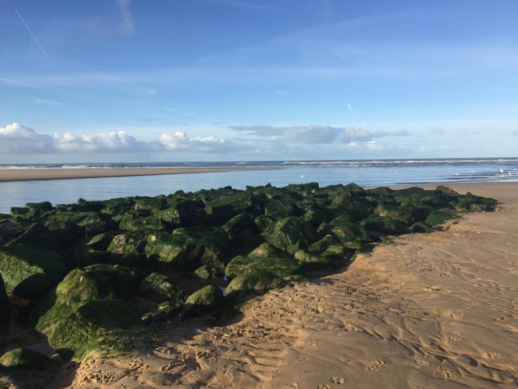 Bed and Breakfast Zoute Zeelucht Katwijk aan Zee Exterior foto